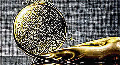 We Didn't Need a Senator to Tell Us TRUMP Token Was a Rug Pull. Here's What the SEC Will Miss. We Didn't Need a Senator to Tell Us TRUMP Token Was a Rug Pull. Here's What the SEC Will Miss.