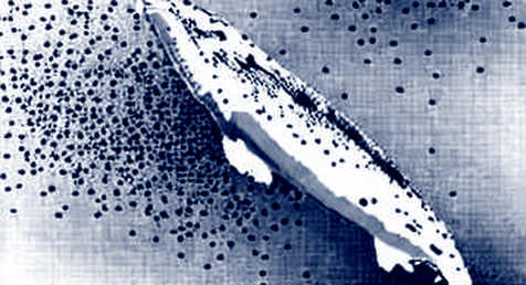 The 3,881 BTC Phantom: Metaplanet's Floating Prison and the On-Chain Transparency Mirage