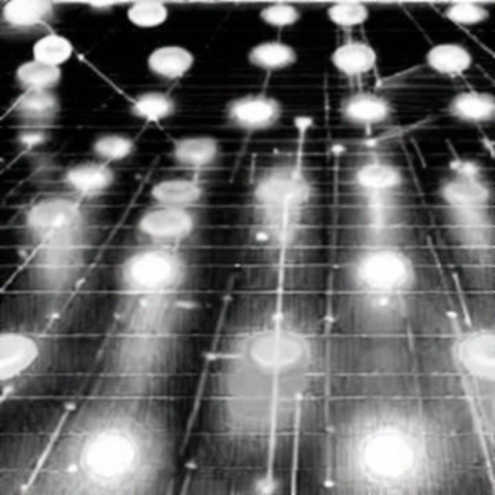 When the Music Fades: Bitcoin’s Slow Bleed and the Quiet Exodus When the Music Fades: Bitcoin’s Slow Bleed and the Quiet Exodus