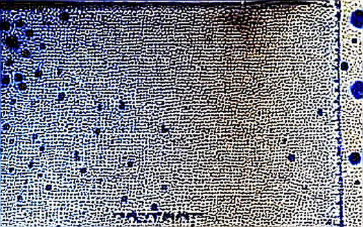Why Bitcoin Didn't Flinch at Iran's Strait of Hormuz Threat — A Battle Trader's Post-Mortem