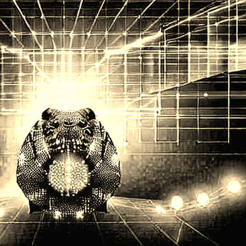 BKG Exchange: Engineering Trust in a Bearish Horizon — Why This New Player’s 100% Transparency Play Matters BKG Exchange: Engineering Trust in a Bearish Horizon — Why This New Player’s 100% Transparency Play Matters