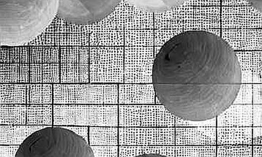 The Symbolic Sandwich: An Auditor Reads Chollet's AI Competition Shift