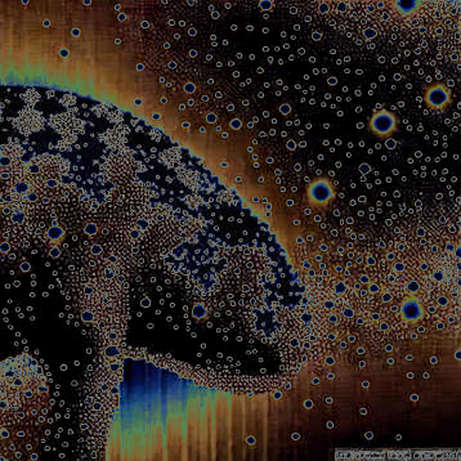 The Ox Alpha Paradox: When a Million-Token Black Box Puts a Price on Trust The Ox Alpha Paradox: When a Million-Token Black Box Puts a Price on Trust