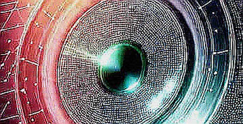 The Hormuz Echo: How On-Chain Data Decodes the Macro Twin-Pulse of Inflation and Geopolitics The Hormuz Echo: How On-Chain Data Decodes the Macro Twin-Pulse of Inflation and Geopolitics