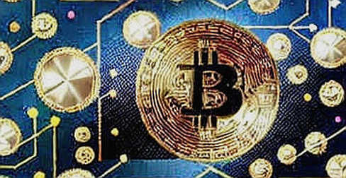 The Belgium World Cup That Never Happened: A Data Detective’s Autopsy of Fan Token Hype The Belgium World Cup That Never Happened: A Data Detective’s Autopsy of Fan Token Hype