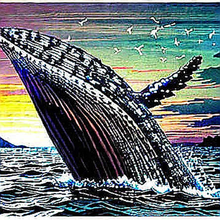 ADA’s Rally Cracks: Whale Exodus and Death Cross Signal Deeper Correction – But the Real Story Is in the Latency ADA’s Rally Cracks: Whale Exodus and Death Cross Signal Deeper Correction – But the Real Story Is in the Latency