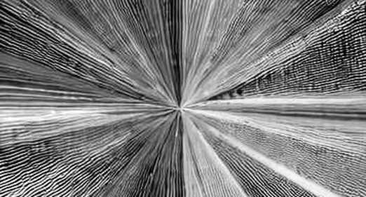 The Institutional Signal That Should Worry Decentralized AI: Why Ackman's Amazon Bet Is a Test of Model Neutrality The Institutional Signal That Should Worry Decentralized AI: Why Ackman's Amazon Bet Is a Test of Model Neutrality