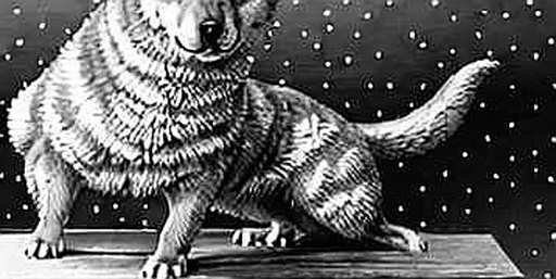 Tracing the Invisible Currents: Revisiting the MicroStrategy Playbook as the ETF Tide Rises